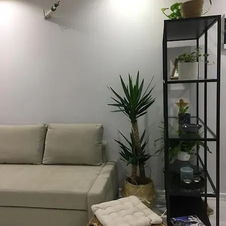 Cozy And Central, 1+1 Studio Flat ,near To Karsiyaka Shore .