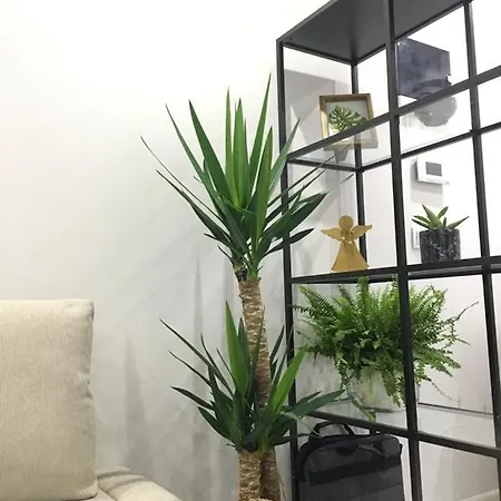 Cozy And Central, 1+1 Studio Flat ,near To Karsiyaka Shore . *
