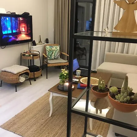 Cozy And Central, 1+1 Studio Flat ,near To Karsiyaka Shore . Appartement